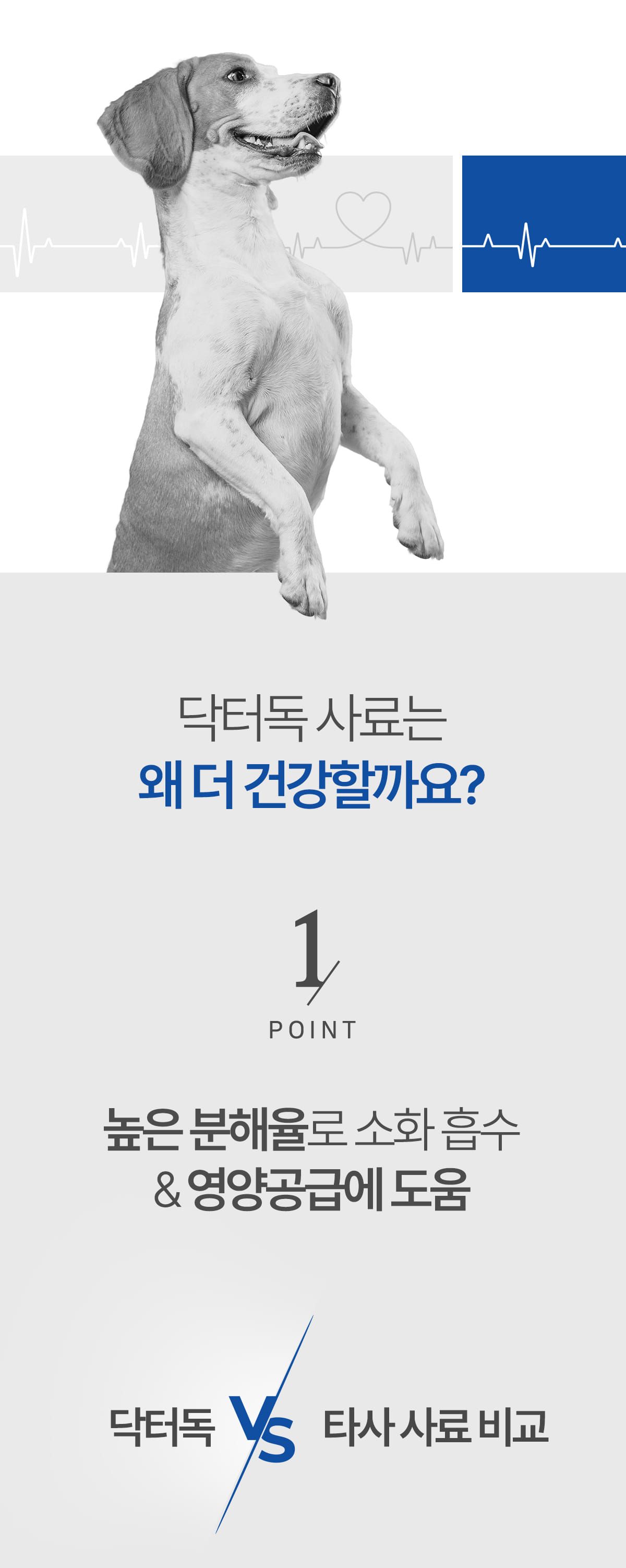 닥터독 관절 사료 2kg 7번째