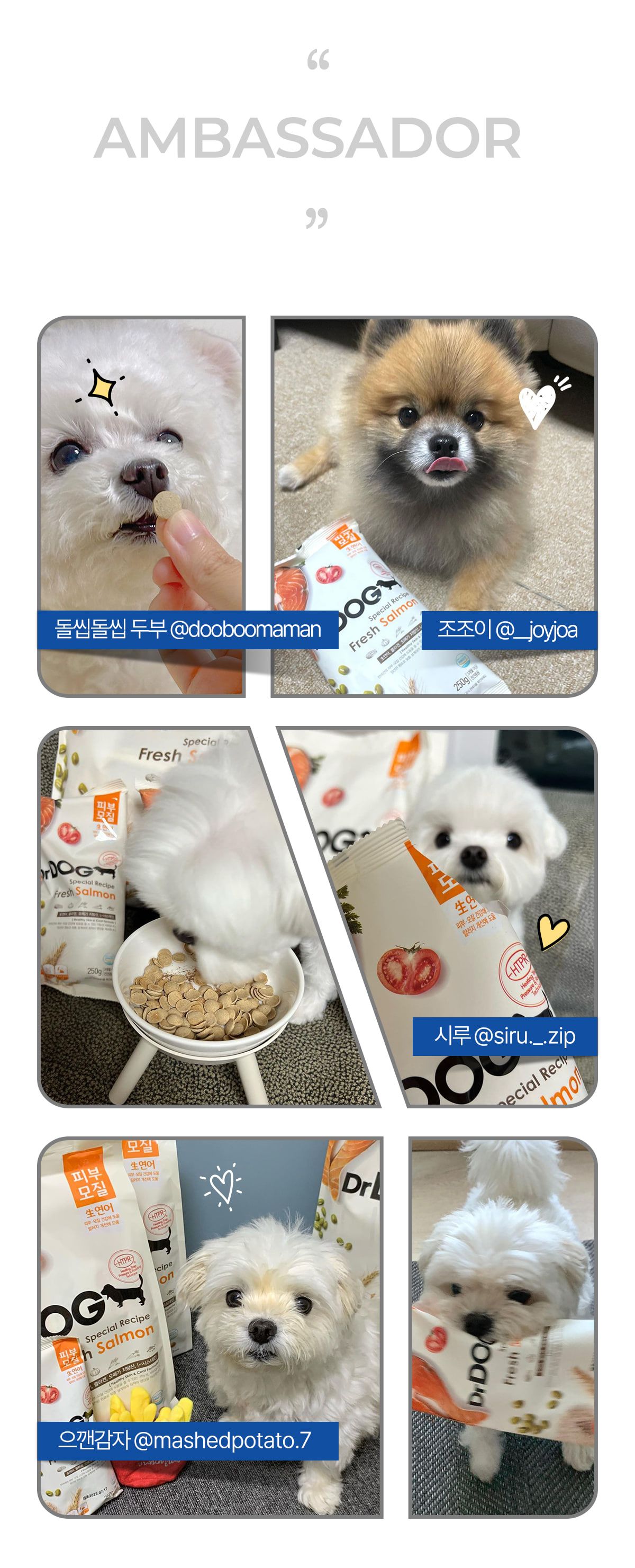 닥터독 관절 사료 2kg 15번째