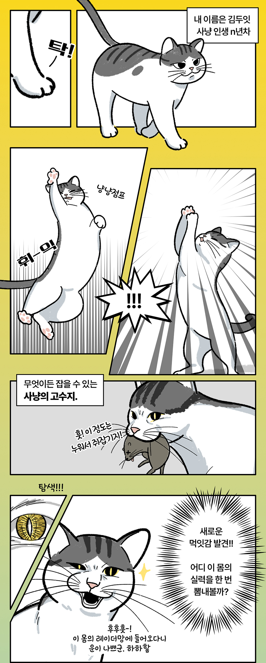 [NEW신상][무료배송] 두잇 버기봇 자동 장난감 2번째