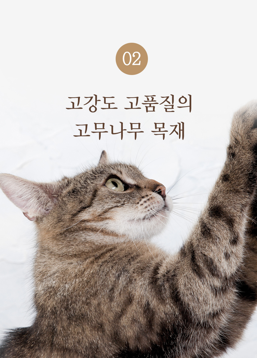[무료배송] 펫토리아 한발뚝딱 다용도 카펫 소파 스크래쳐 11번째