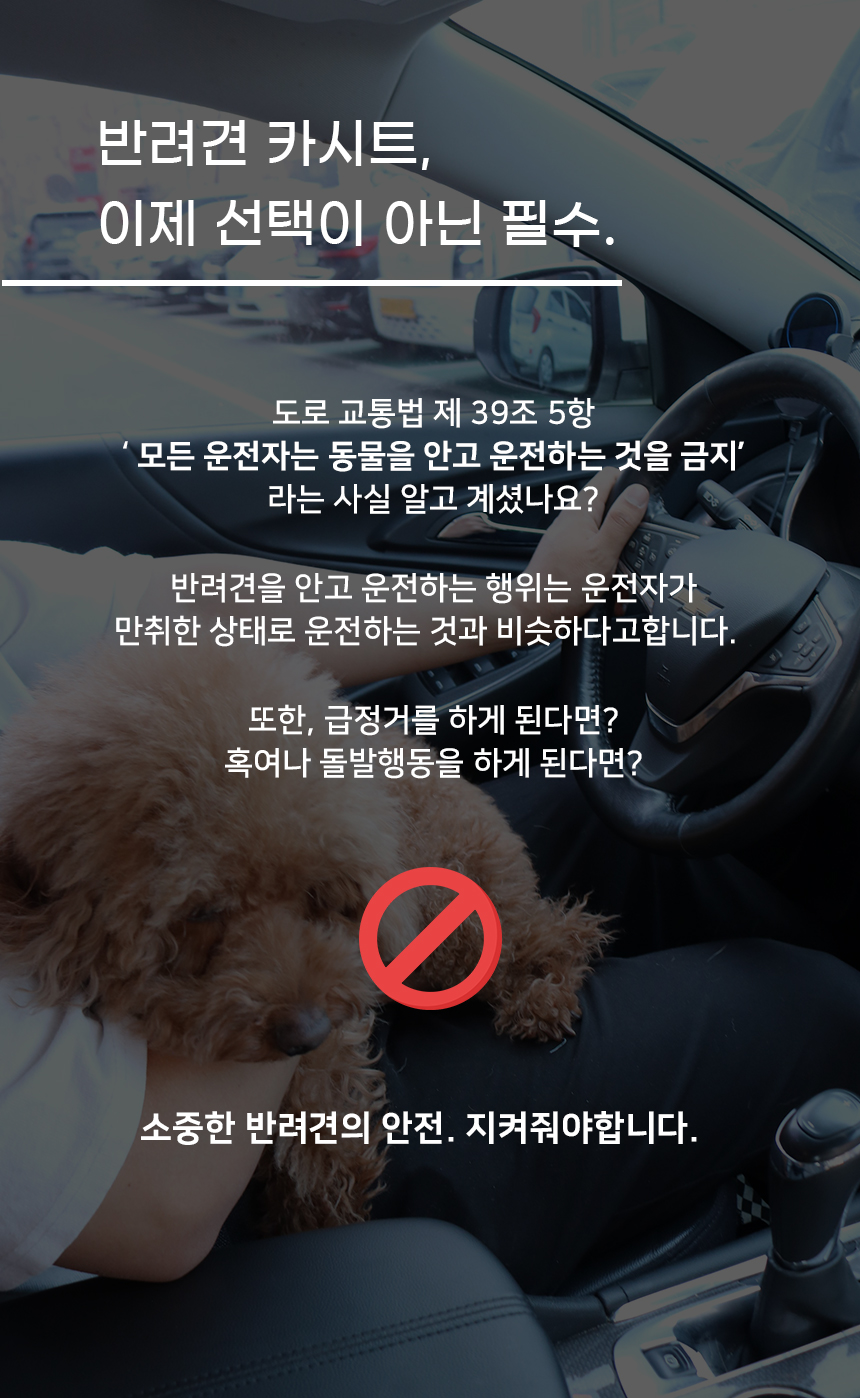 [NEW신상][무료배송] 개과천선 독 멍스 카시트 (블랙 그레이/베이지) 3번째