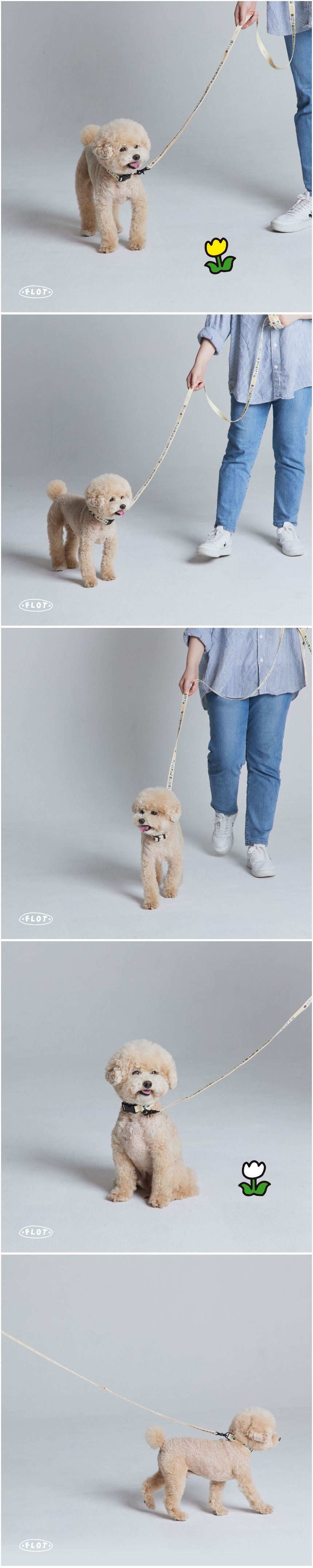 [NEW신상][무료배송] 플로트 플라워 목줄 2종 (베이지/블루) S-M 9번째