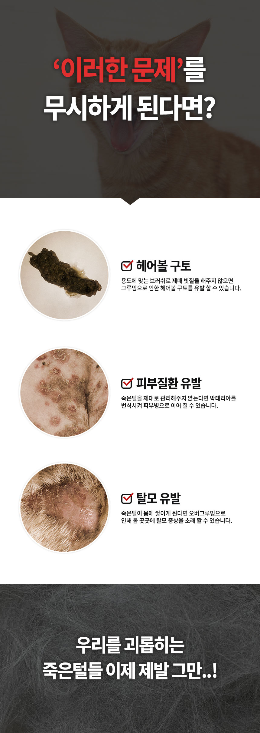 [무료배송] 펫펍 청정 브러쉬 3번째