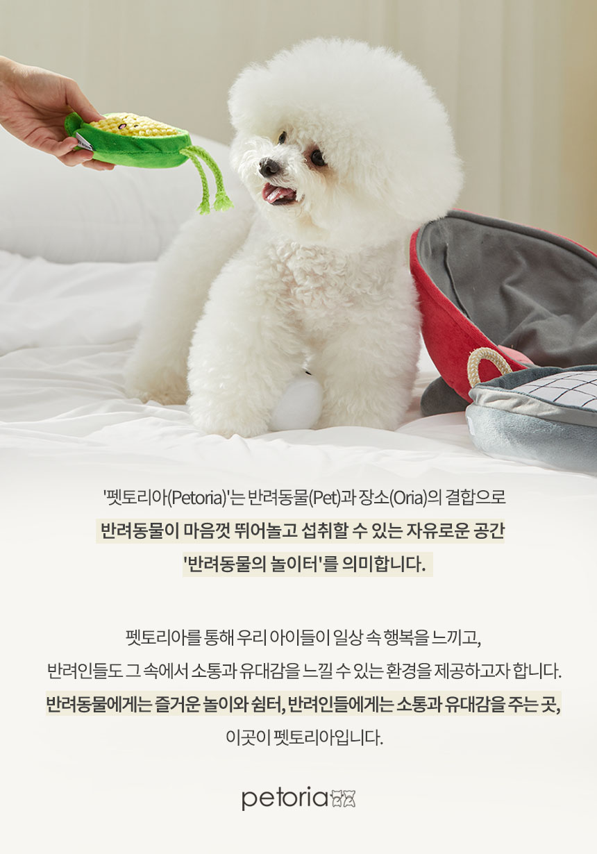 [체험단] 펫토리아 한끼뚝딱 독 황태&연어 200g (50g*4개) 2번째