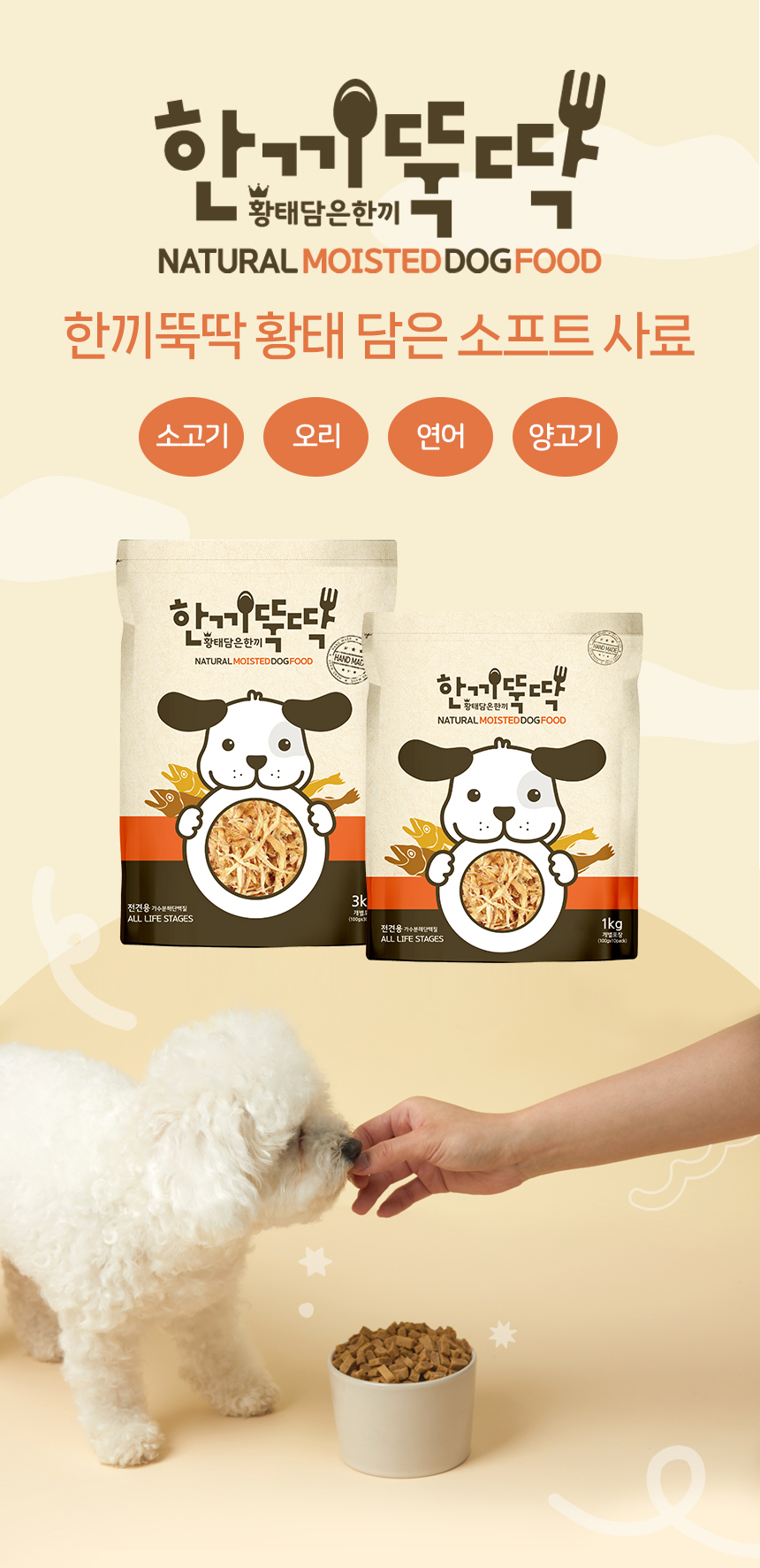 [체험단] 펫토리아 한끼뚝딱 독 황태&연어 200g (50g*4개) 6번째