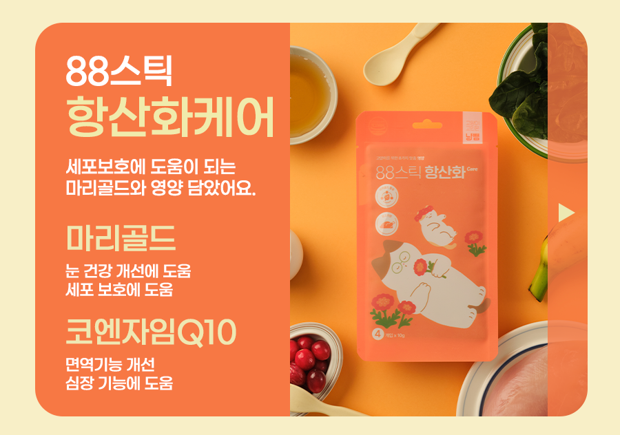 [유통기한임박, 26년3월7일] 냥쌤 캣 88스틱 항산화케어 10g*4p 3번째