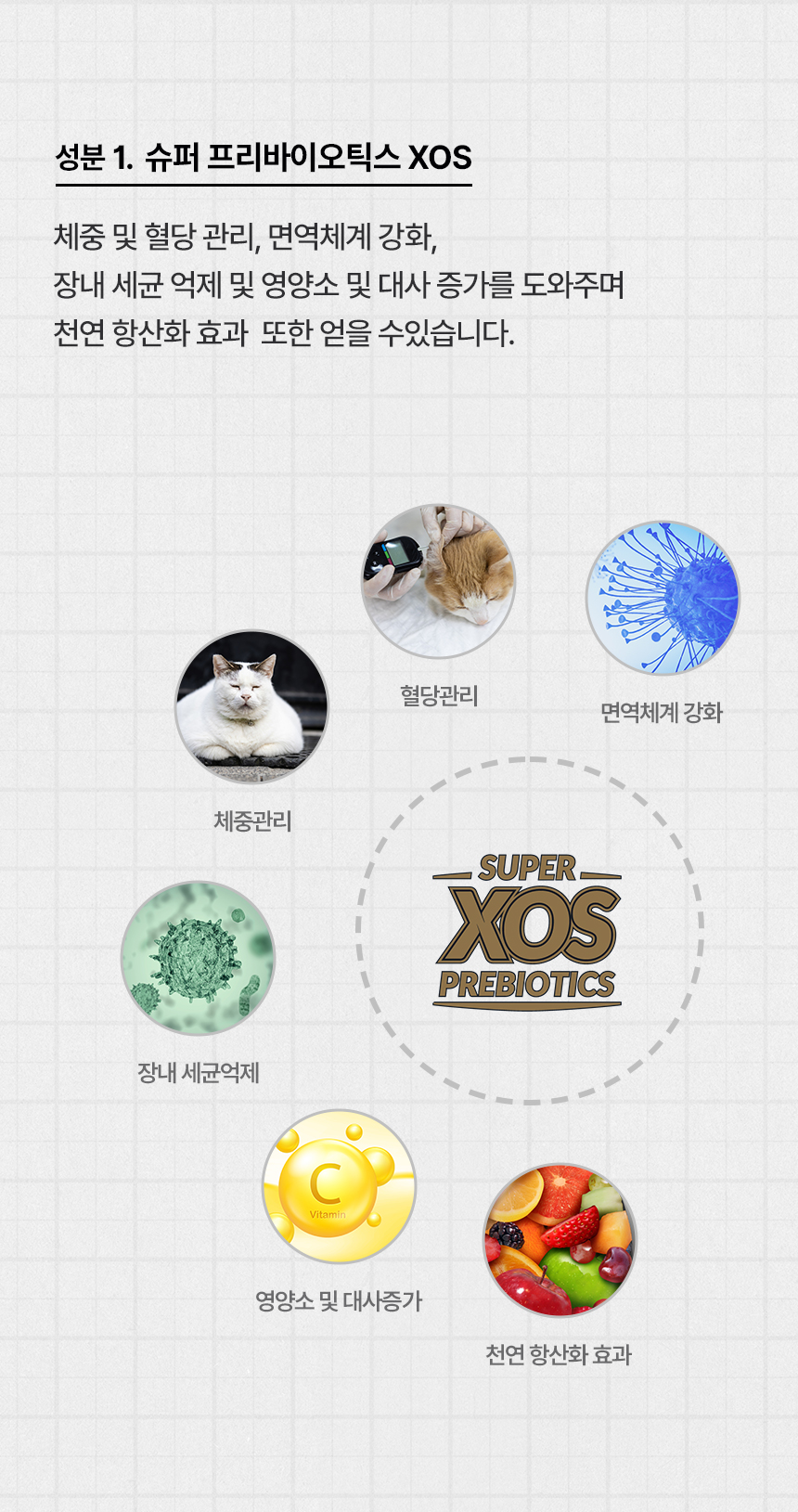 [무료배송] 리플렉스 플러스 캣 유리너리 어덜트 치킨 1.5kg 14번째