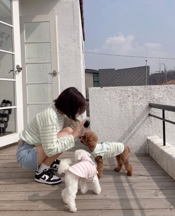 [무료배송] 찰리롤리 조이 세일러 티셔츠 민트/옐로우/네이비/핑크 S-2XL 8번째