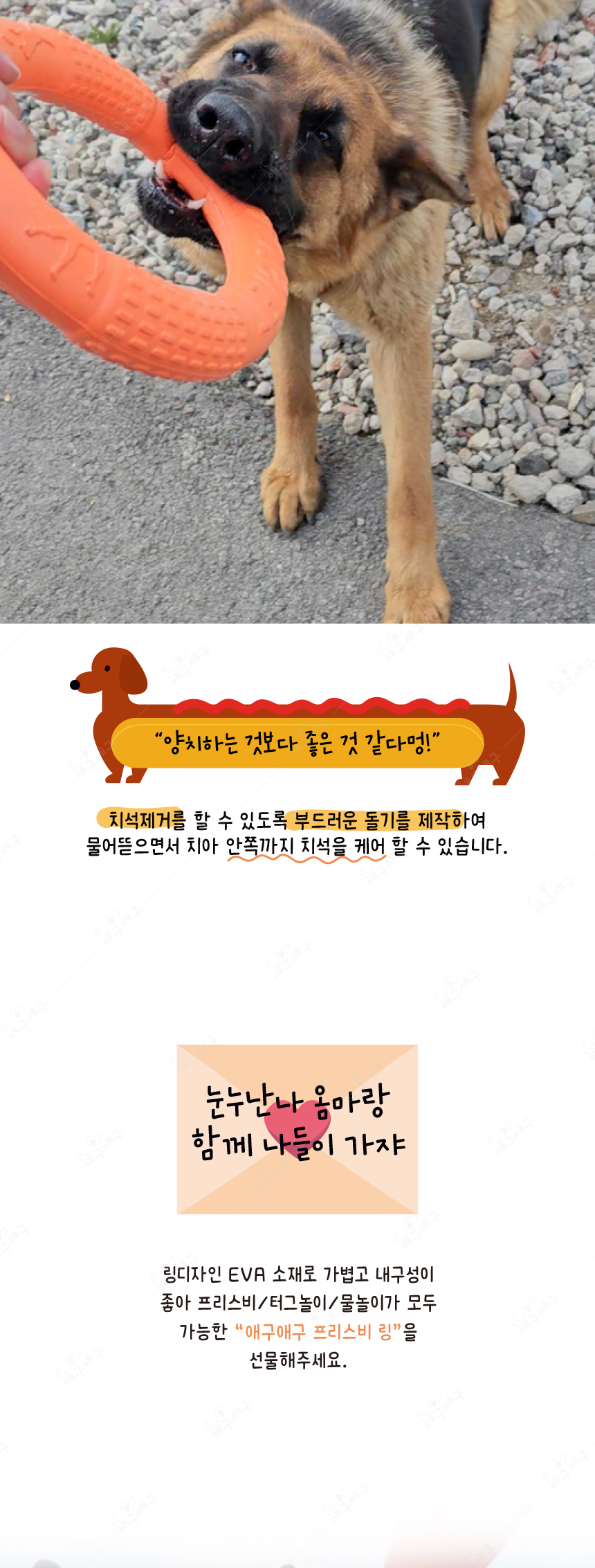 [무료배송] 애구애구 프리스비 링 그린/레드/오렌지 대형 17번째