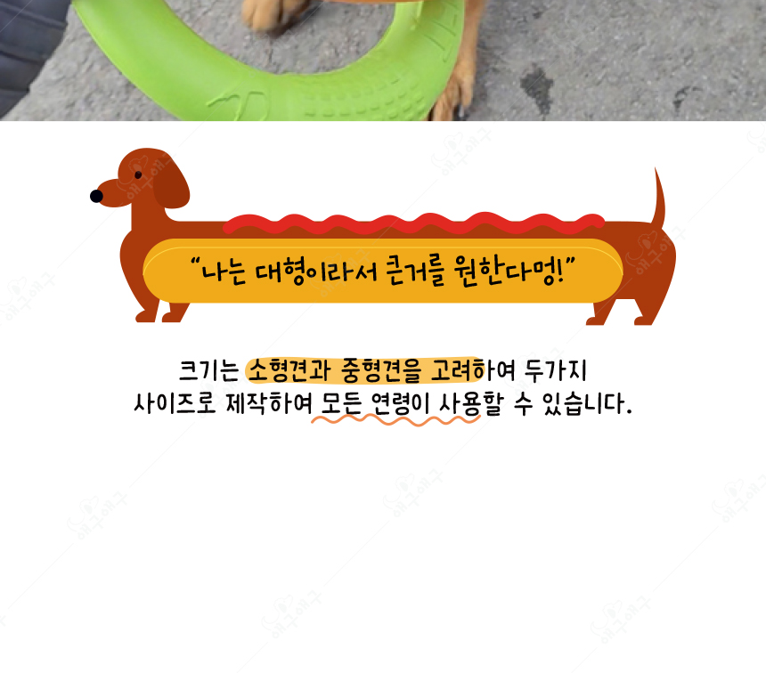 [무료배송] 애구애구 프리스비 링 그린/레드/오렌지 대형 14번째