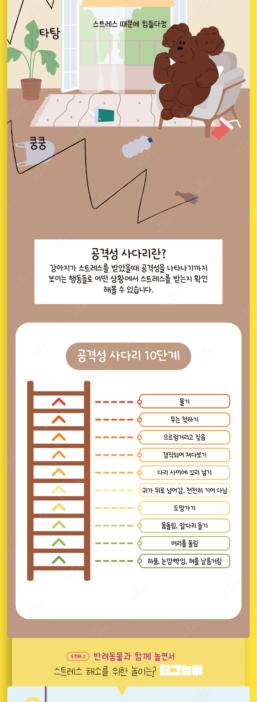 [무료배송] 애구애구 프리스비 링 그린/레드/오렌지 대형 4번째