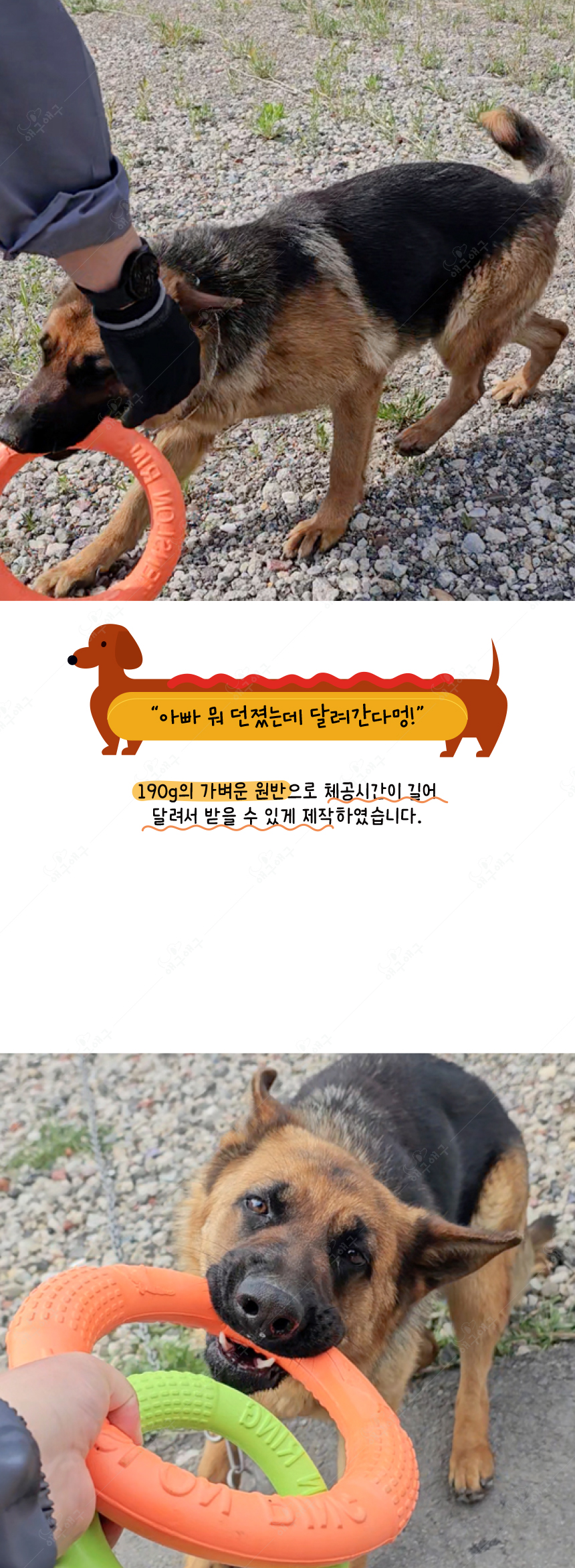 [무료배송] 애구애구 프리스비 링 그린/레드/오렌지 대형 13번째