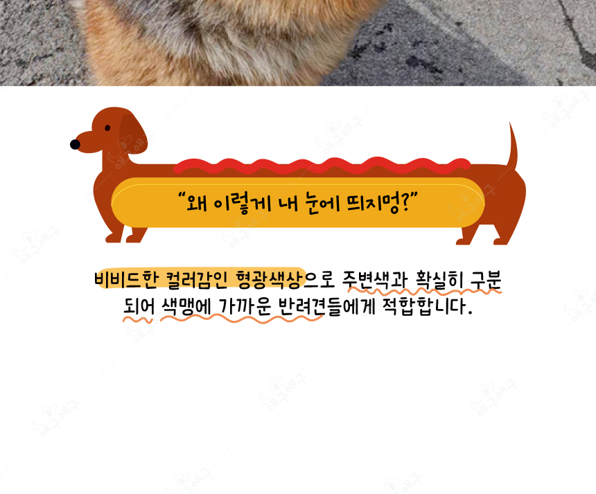[무료배송] 애구애구 프리스비 링 그린/레드/오렌지 대형 11번째