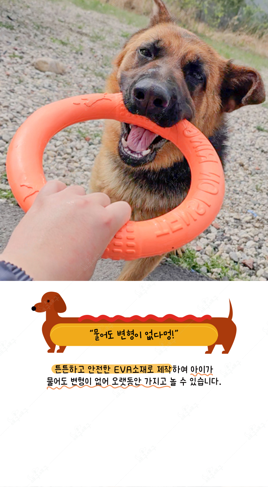 [무료배송] 애구애구 프리스비 링 그린/레드/오렌지 대형 16번째