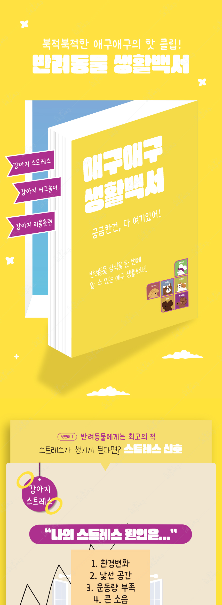 [무료배송] 애구애구 프리스비 링 그린/레드/오렌지 대형 3번째