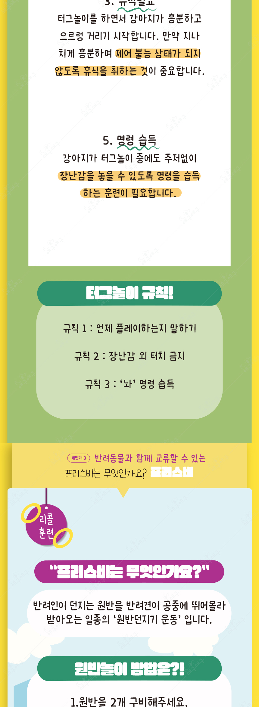 [무료배송] 애구애구 프리스비 링 그린/레드/오렌지 대형 6번째