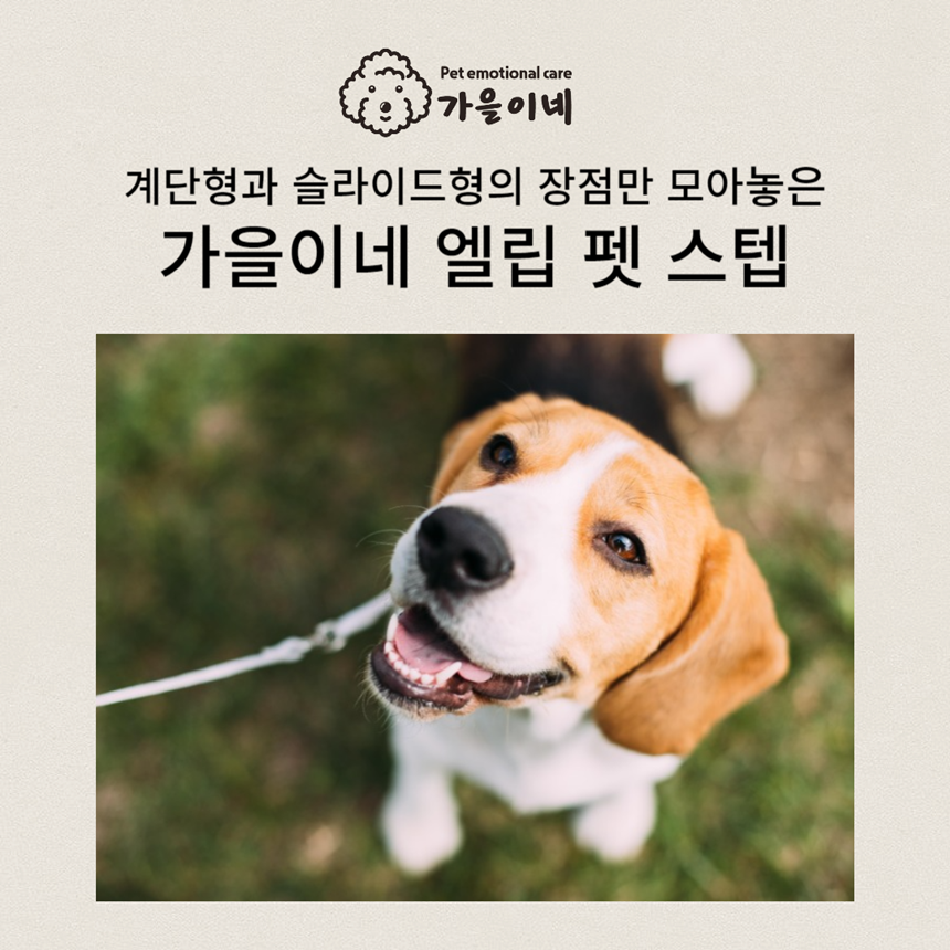 [무료배송] 가을이네 슬라이드 계단 4color 2단-4단 1번째