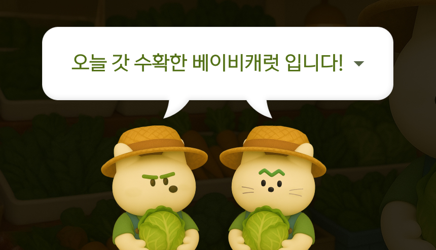 [NEW신상][무료배송] 퍼리타운 독 동결건조 미니당근 20g 4번째