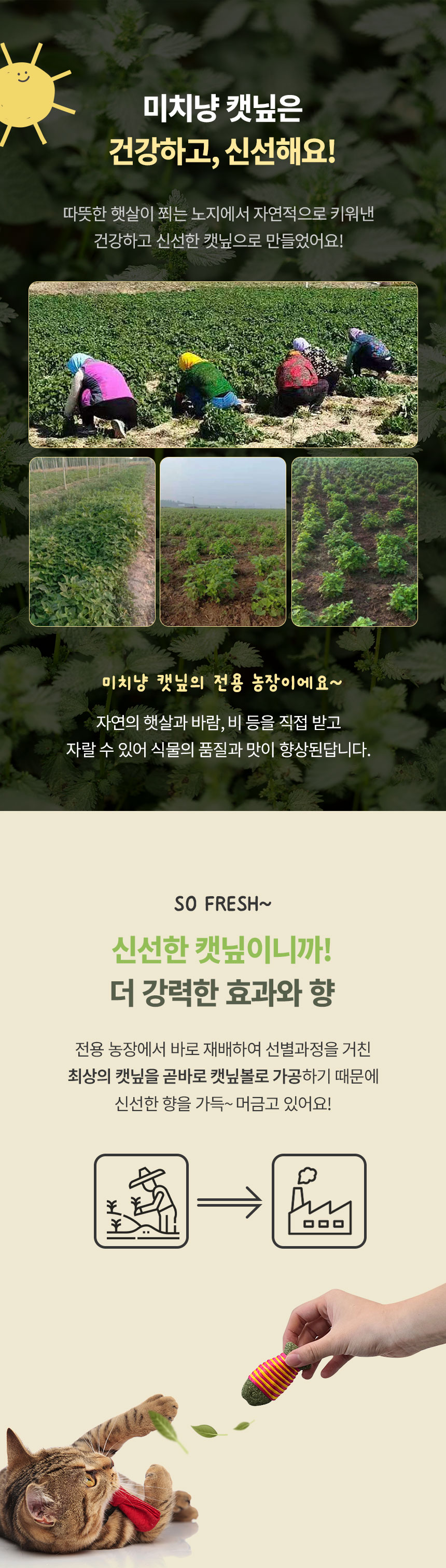 [무료배송] [3개] 크레용펫 미치냥 한입 물고기 캣닢 장난감 4번째