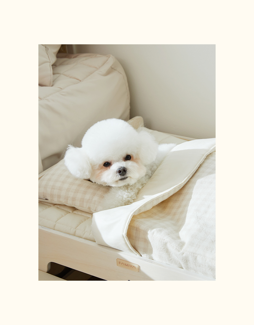 [무료배송] [파미야] 패밀리 침대 7번째