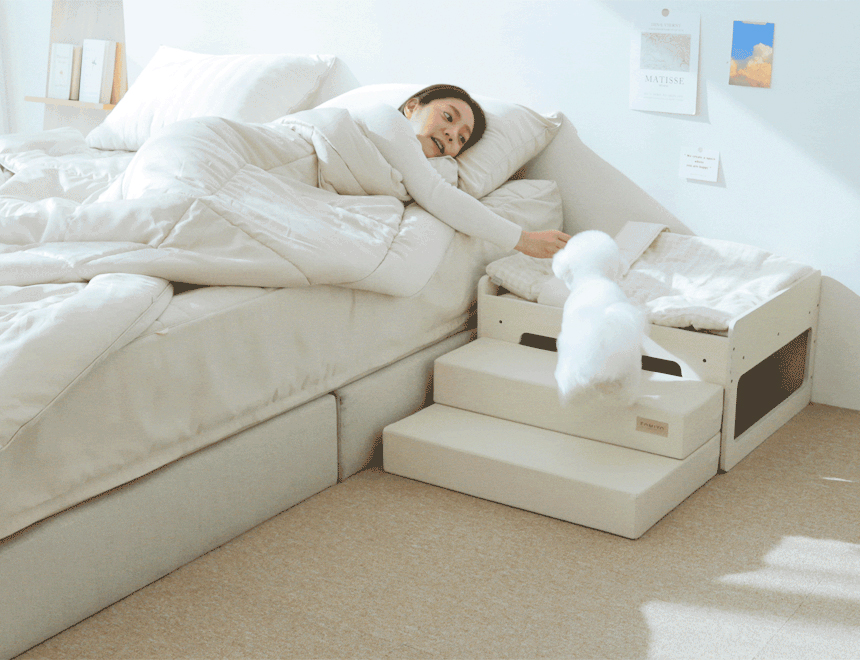 [무료배송] [파미야] 패밀리 침대 13번째