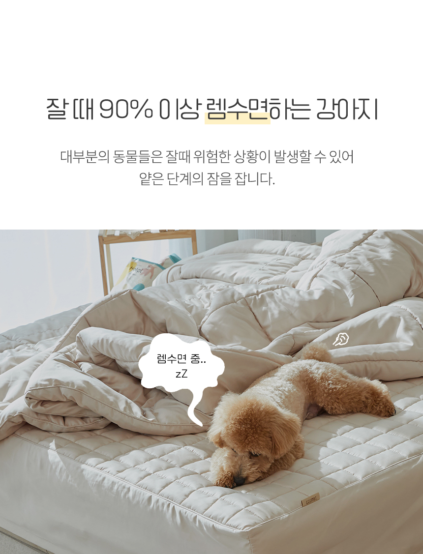 [무료배송] [파미야] 패밀리 침대 4번째