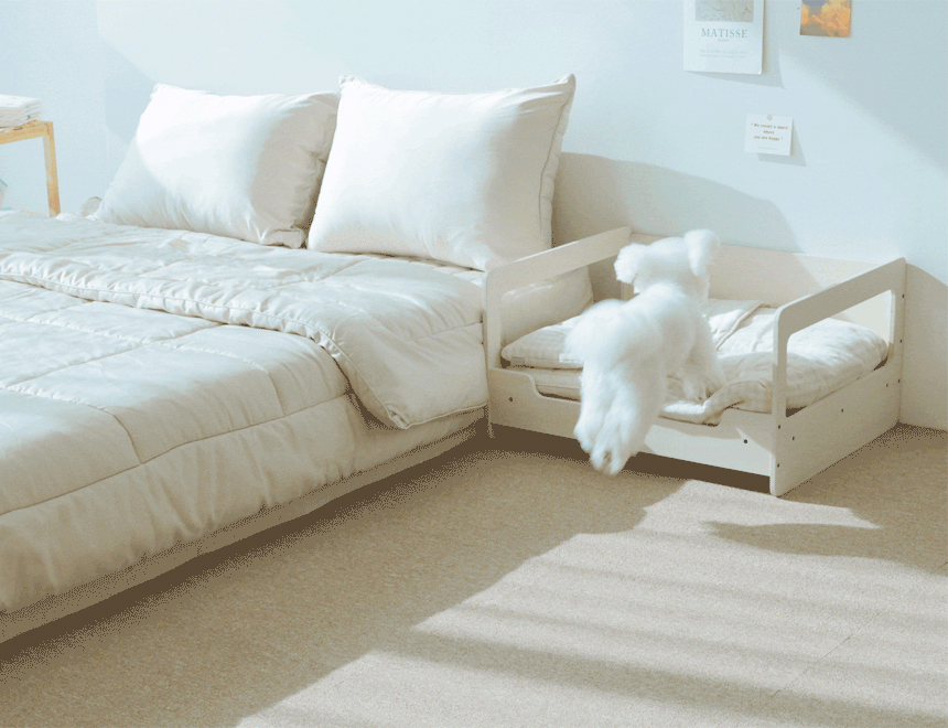 [무료배송] [파미야] 패밀리 침대 15번째