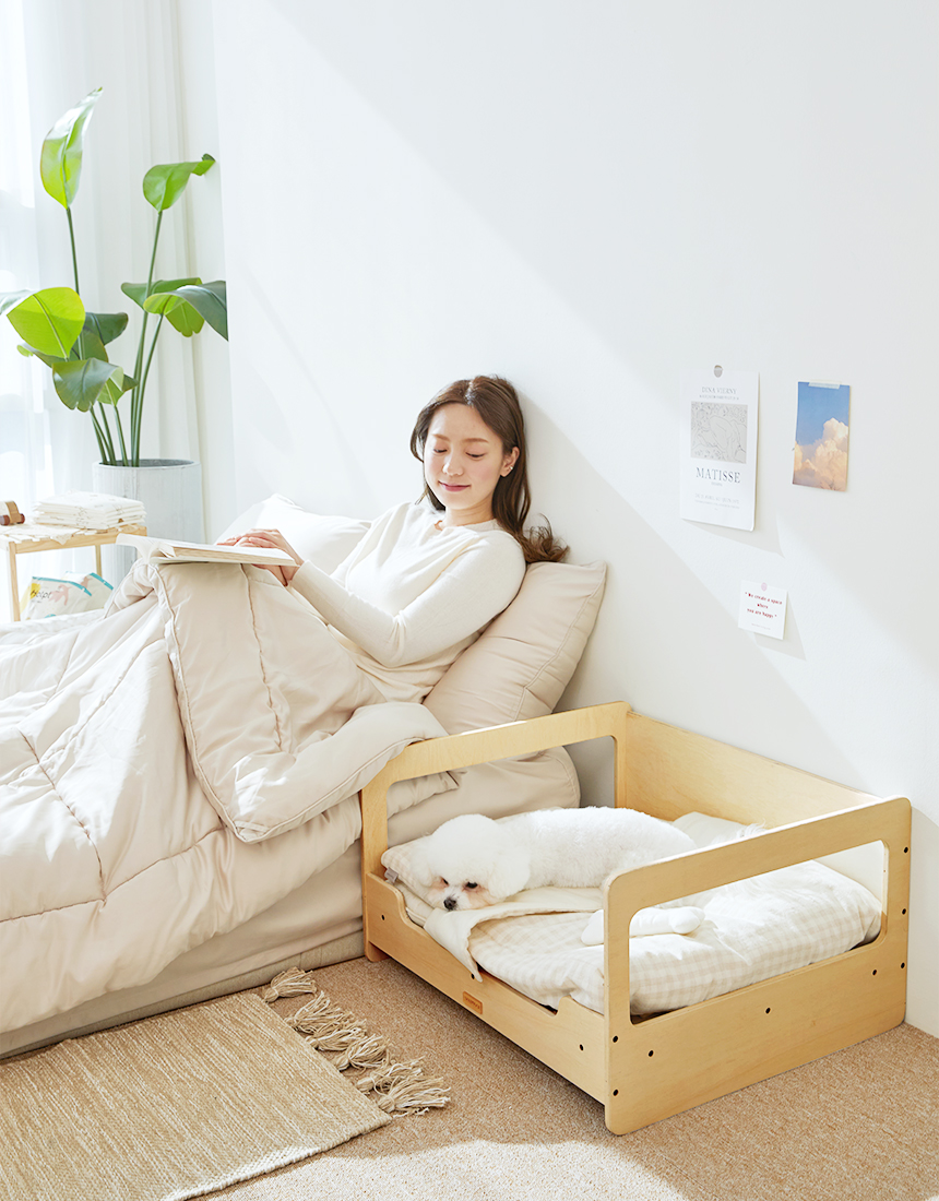 [무료배송] [파미야] 패밀리 침대 8번째