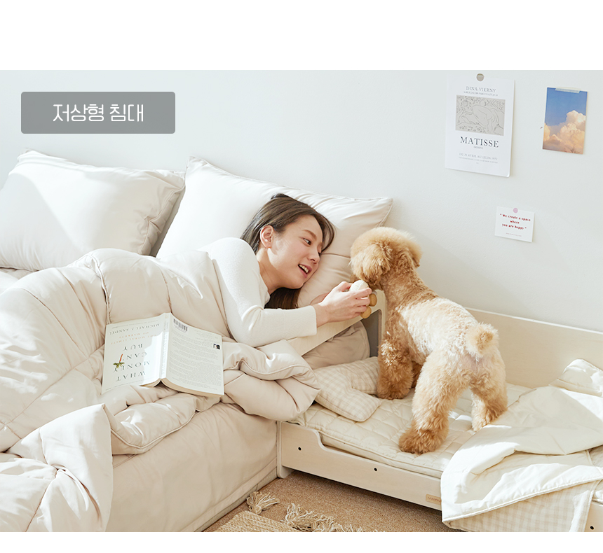 [무료배송] [파미야] 패밀리 침대 14번째