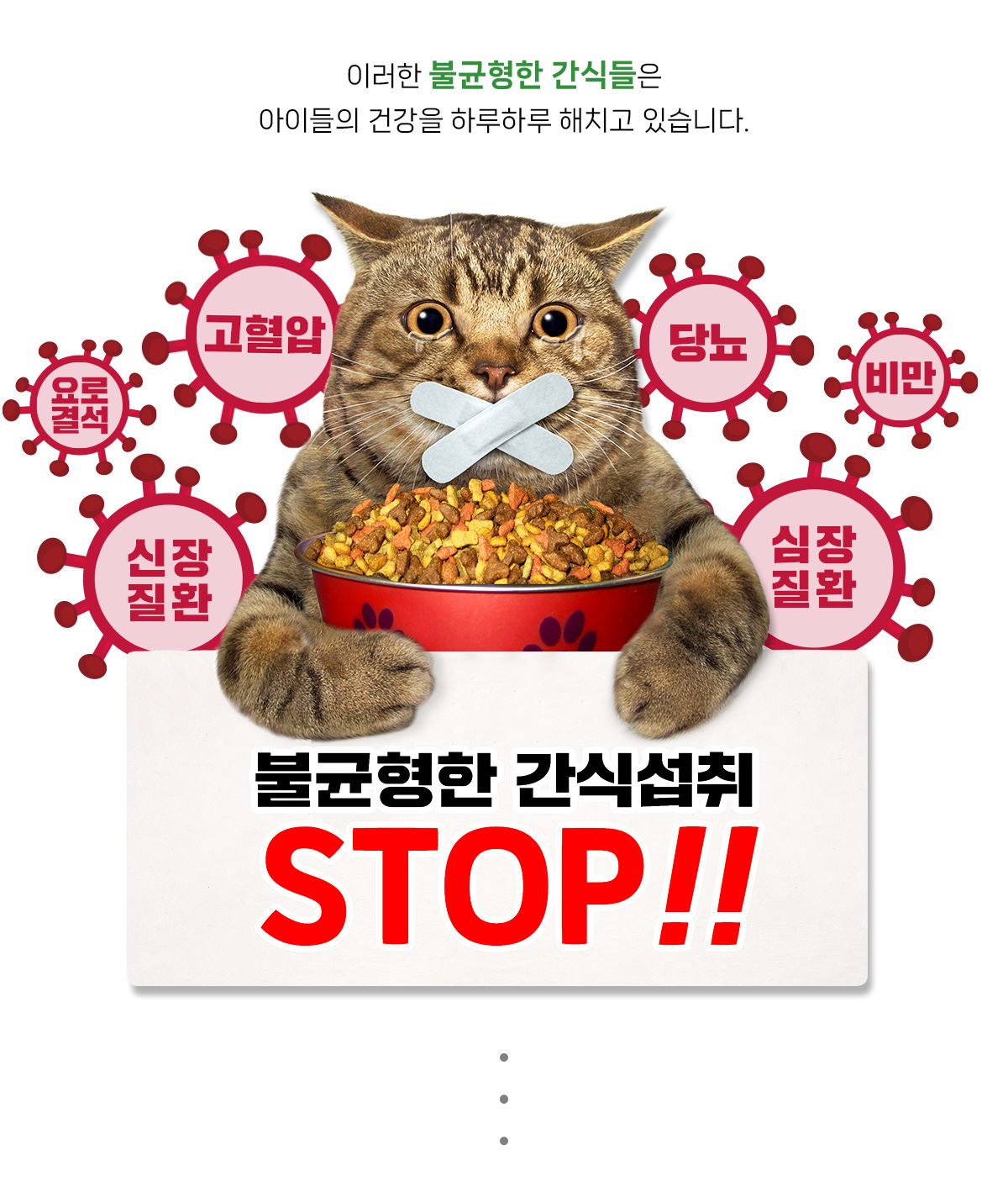 닥터페트라 캣 덴티치카 덴탈트릿 [모음] 5번째