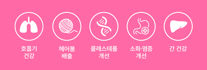 [무료배송] 라이프펫 고양이 호흡기&헤어볼 영양제 브레스&헤어볼 420g 5번째