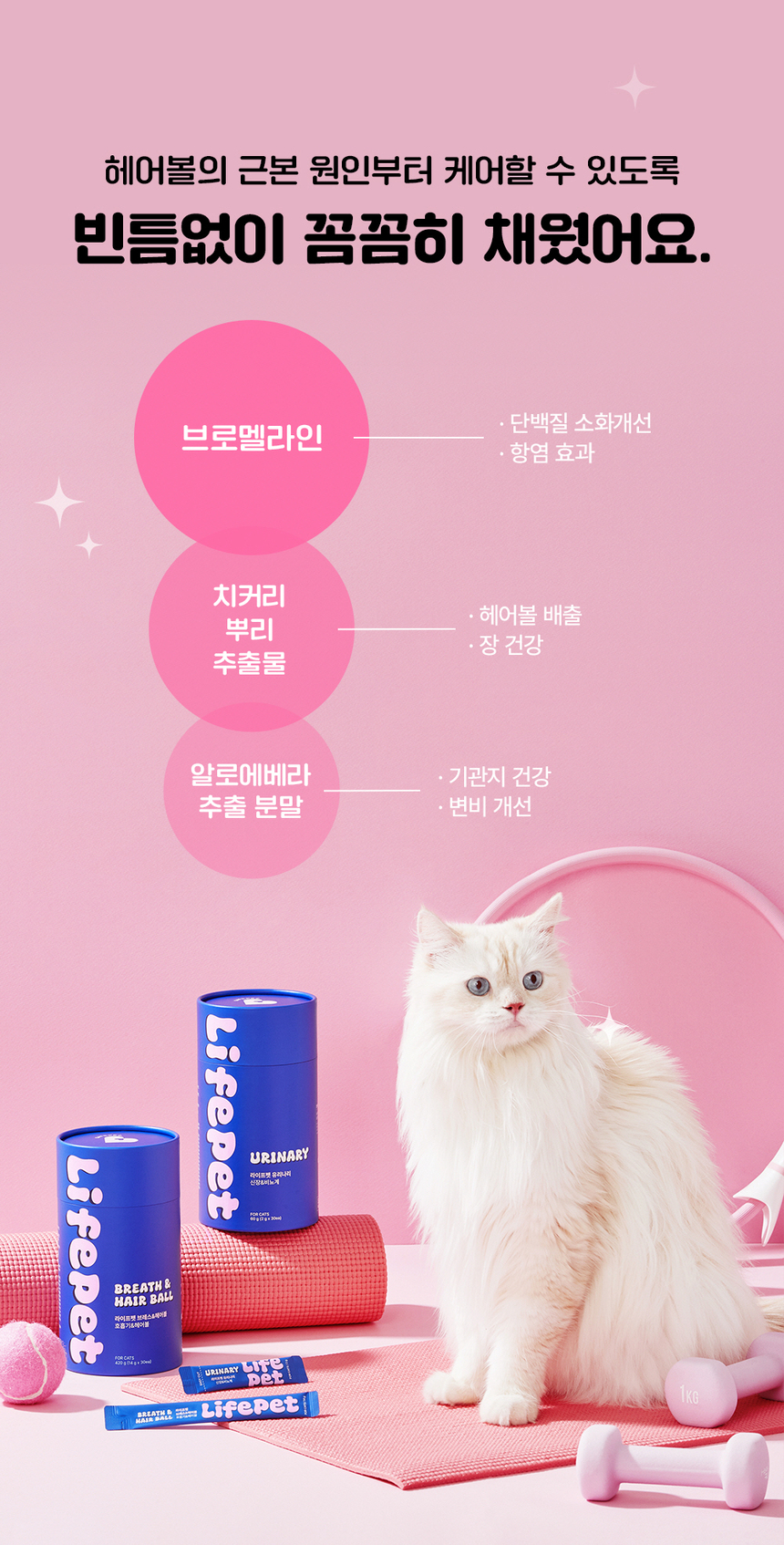 [무료배송] 라이프펫 고양이 호흡기&헤어볼 영양제 브레스&헤어볼 420g 12번째