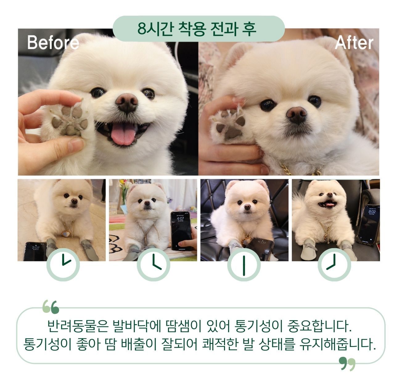 [무료배송] 펫인뷰티 독 포우랩 신발 그레이/옐로우/오트밀/핑크/블랙 S-XL 5번째
