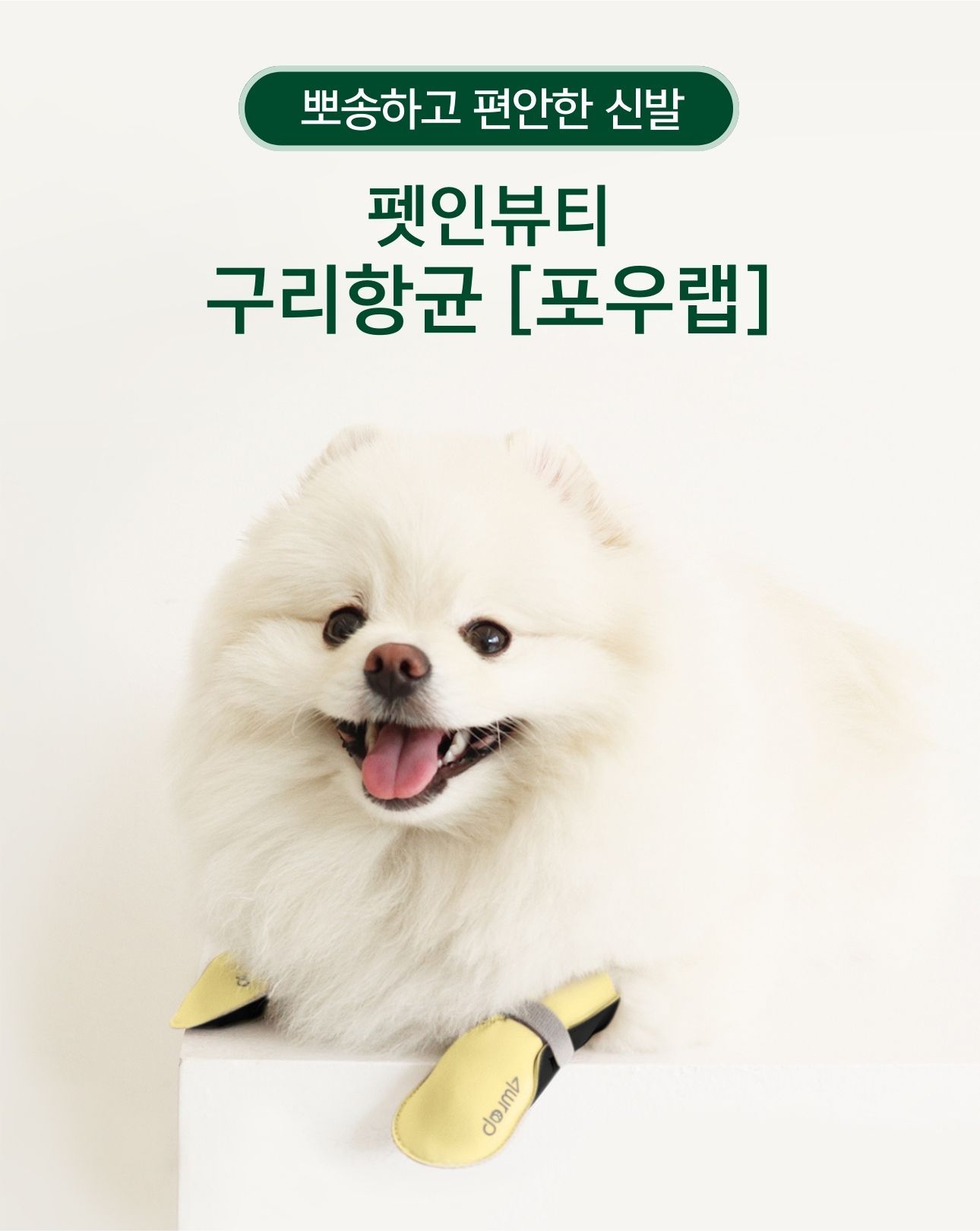 [무료배송] 펫인뷰티 독 포우랩 신발 그레이/옐로우/오트밀/핑크/블랙 S-XL 1번째