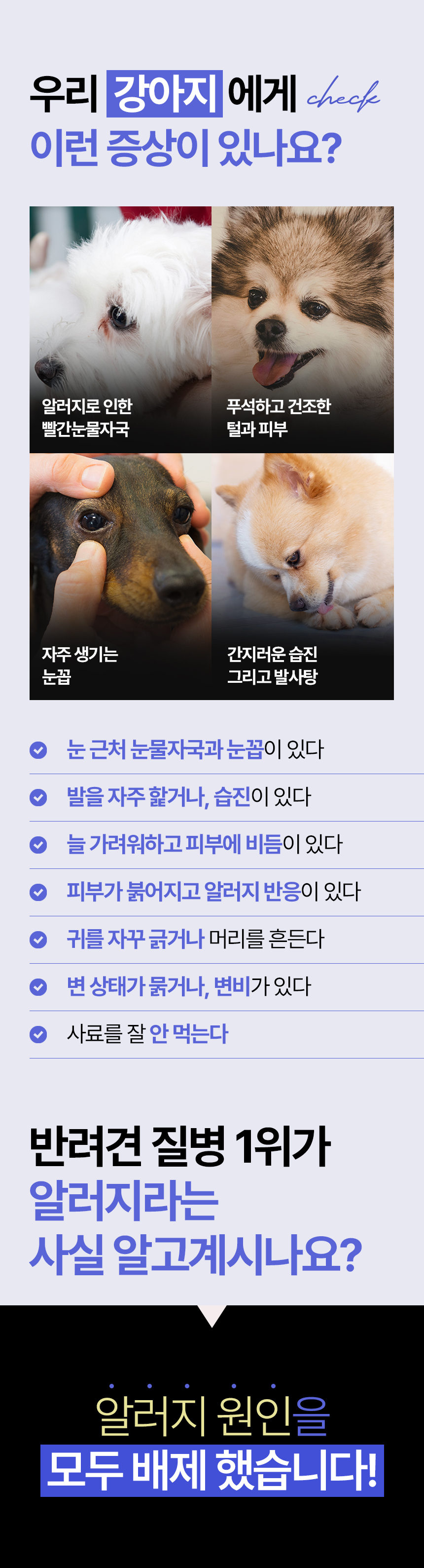 [NEW신상][무료배송] 데이스포 독 와이즈 인섹트 하이포알러제닉 1.5kg 4번째