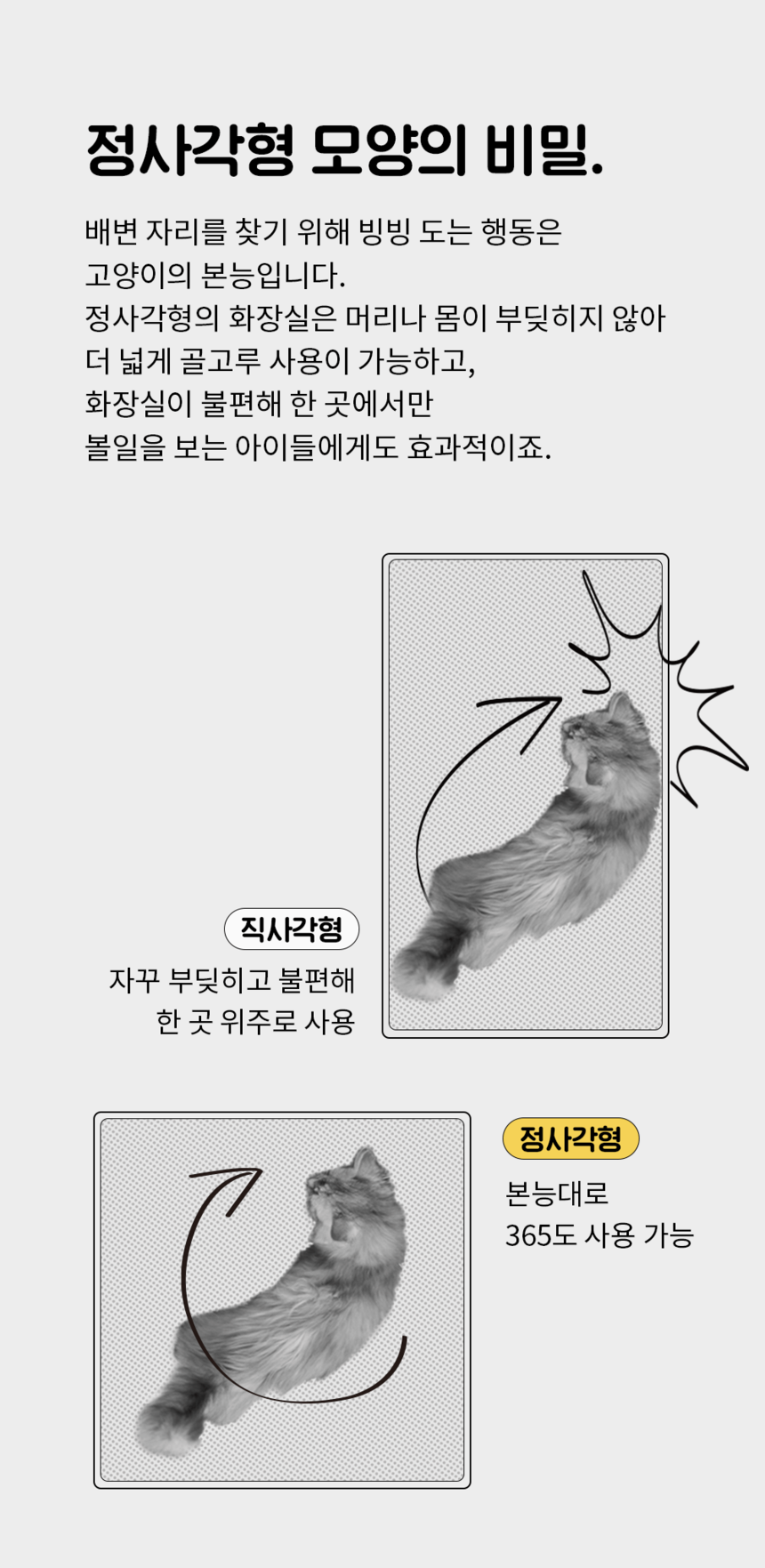 [무료배송] 스쿠퍼즈 리얼코팅 박스 + 30ml 코팅제 4번째
