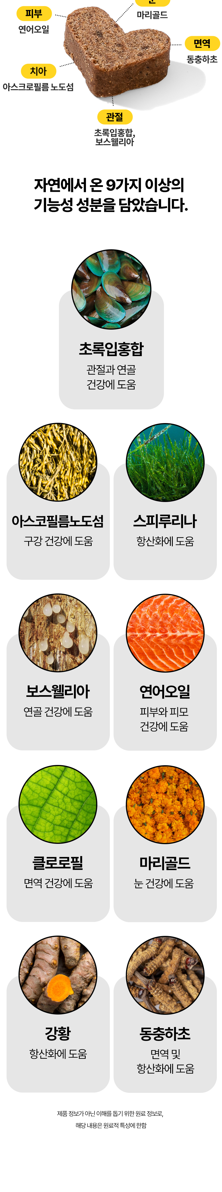 [무료배송] 붐붐포 독 슈퍼바이트 5in1 종합 멀티 케어 영양제 300g 3번째