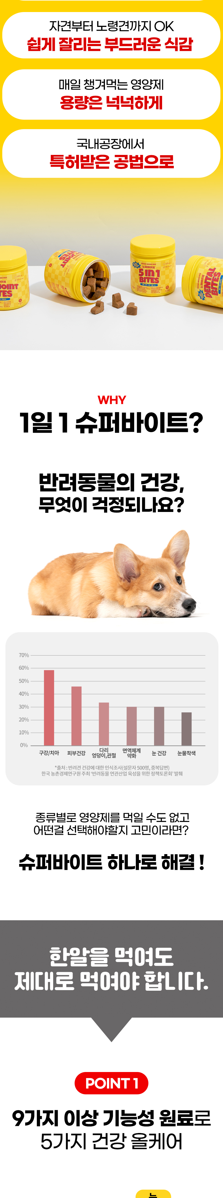 [무료배송] 붐붐포 독 슈퍼바이트 5in1 종합 멀티 케어 영양제 300g 2번째