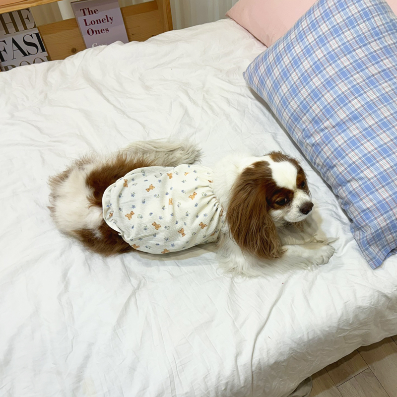 [무료배송] 해피댕댕 베어펌킨나시 S - 2XL 5번째