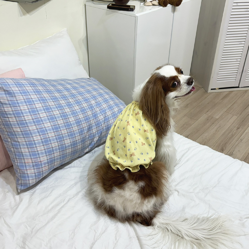 [무료배송] 해피댕댕 베어펌킨나시 S - 2XL 9번째