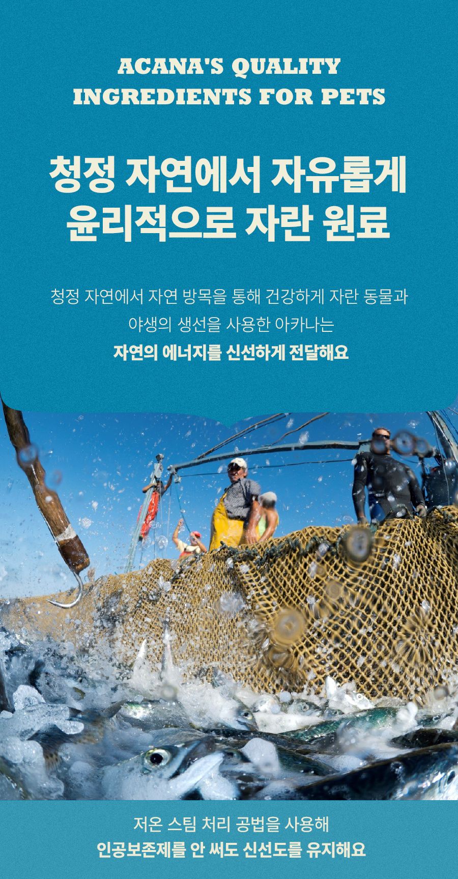 아카나 캣 패시피카 1.8kg 6번째