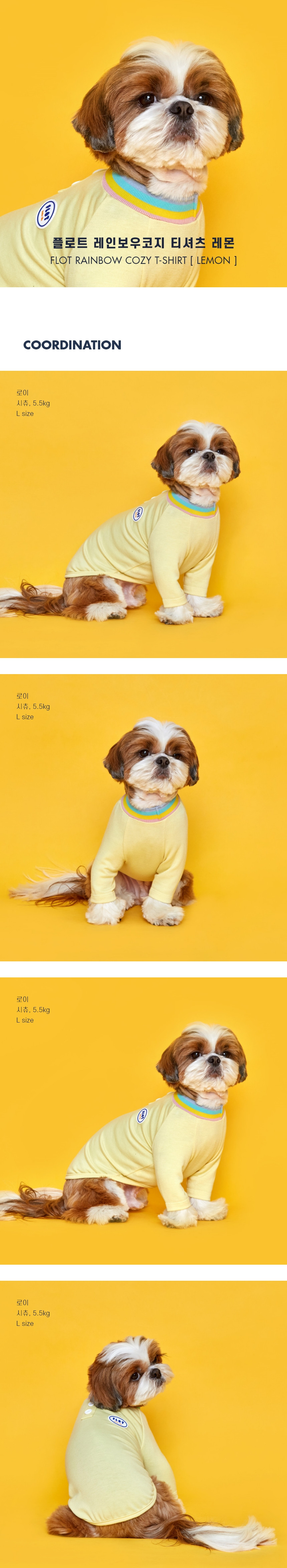 [무료배송] 플로트 레인보우코지 티셔츠 3컬러 (S-2XL) 2번째