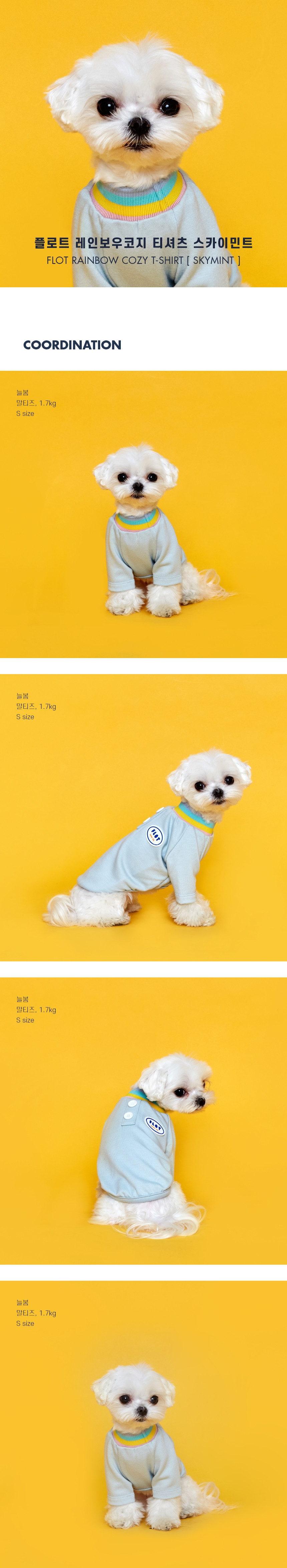 [무료배송] 플로트 레인보우코지 티셔츠 3컬러 (S-2XL) 3번째