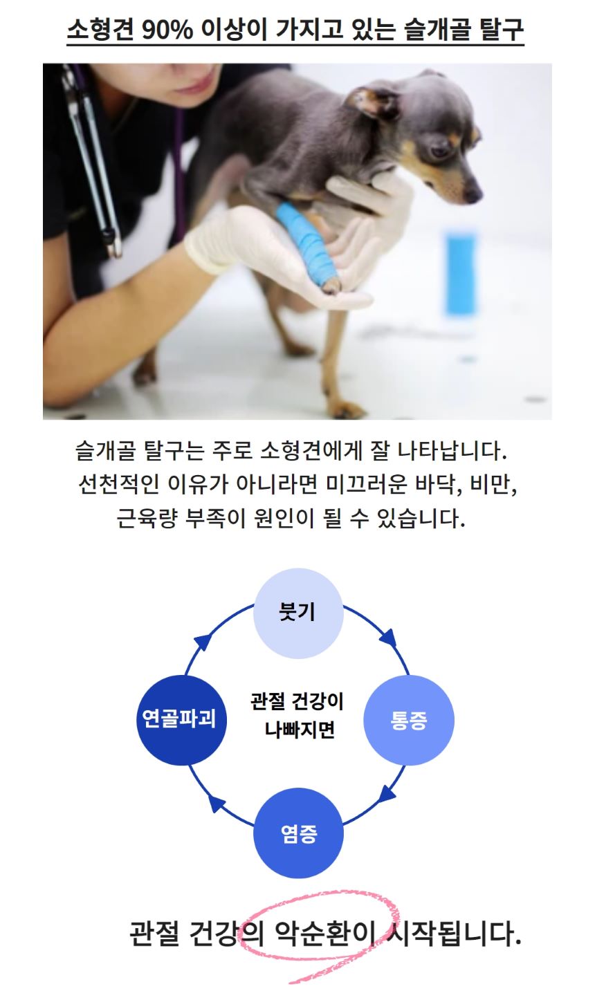 [무료배송] 에버모어 스트렝스포뮬러 조인트앤덴탈 영양제 150g 3번째