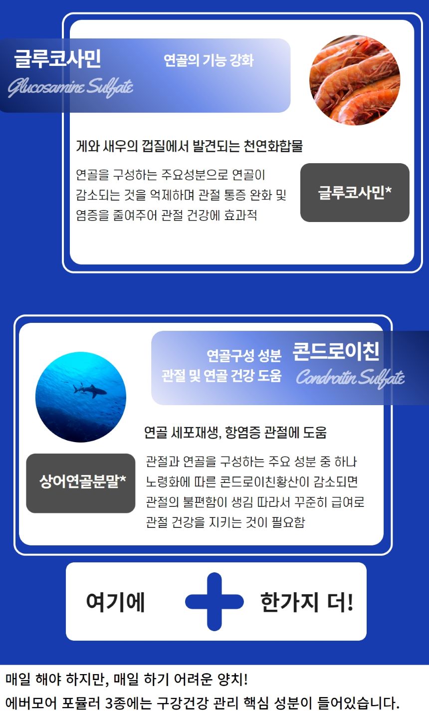 [무료배송] 에버모어 스트렝스포뮬러 조인트앤덴탈 영양제 150g 7번째