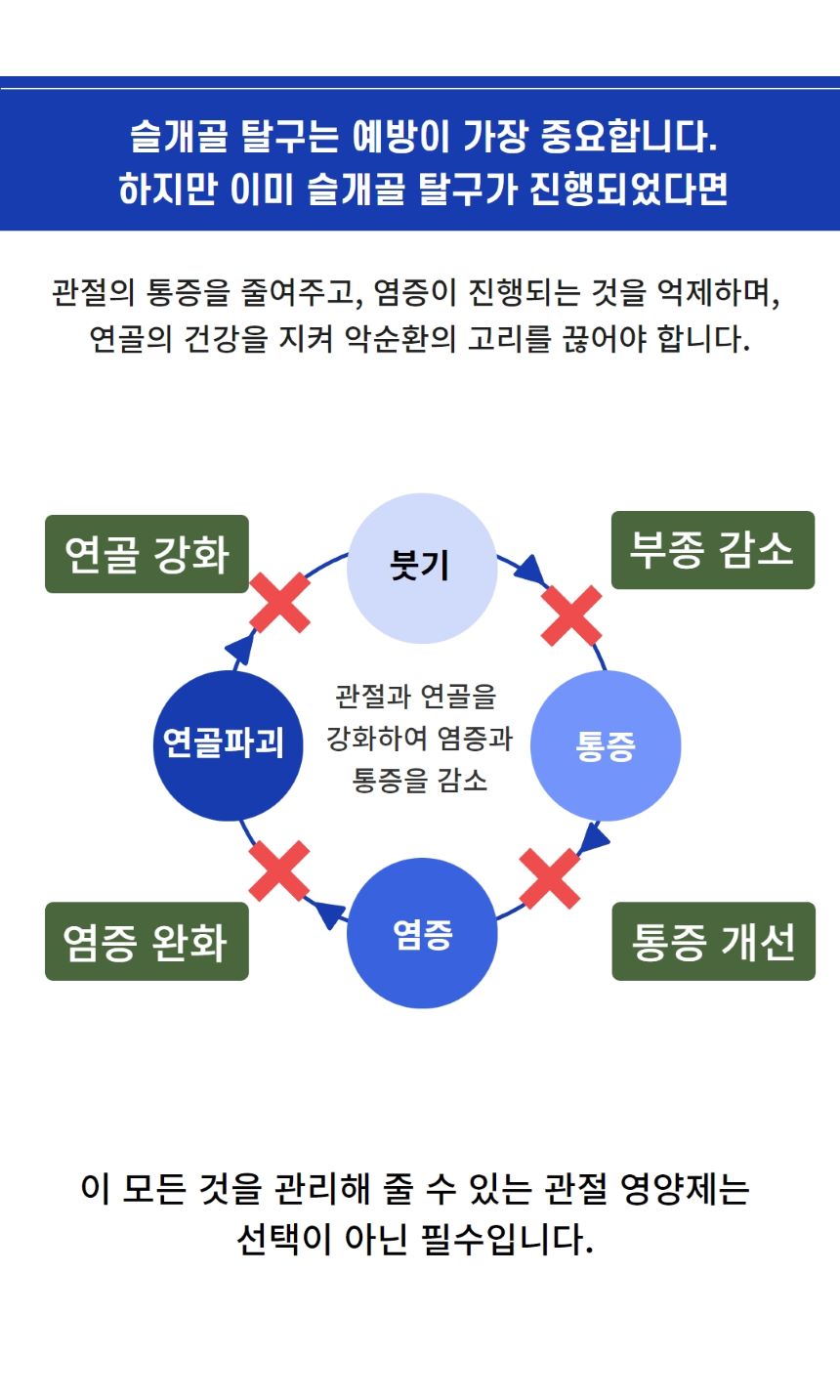[무료배송] 에버모어 스트렝스포뮬러 조인트앤덴탈 영양제 150g 4번째