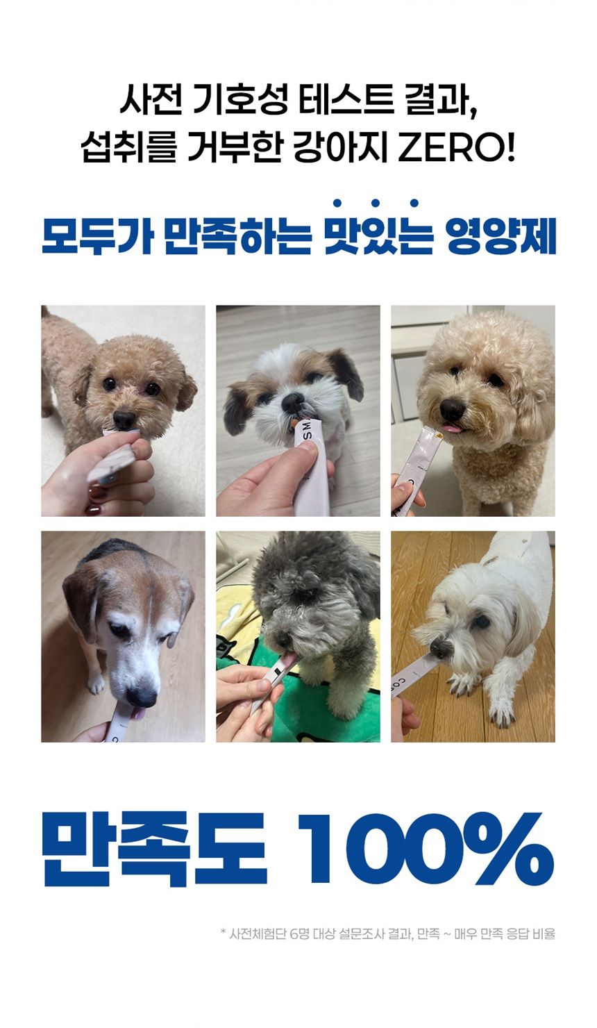 [NEW신상]스탠다드포포우 독 종합영양제 10g*10개입 14번째
