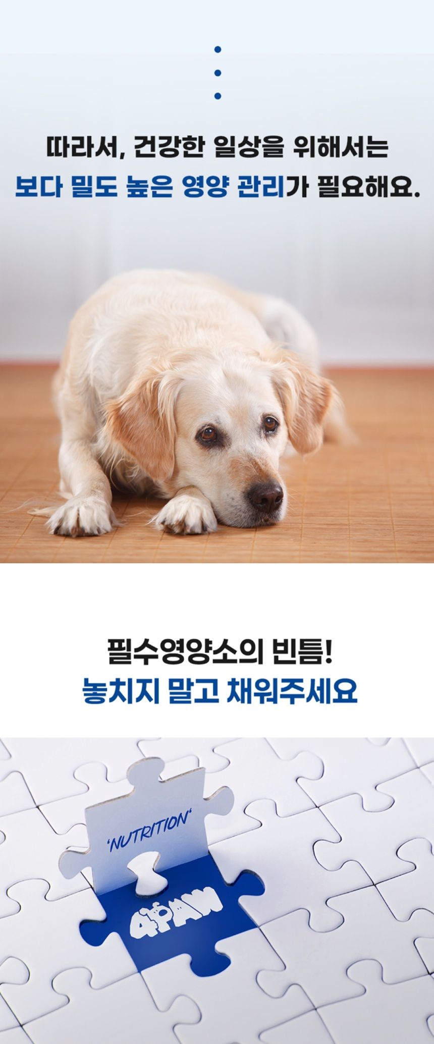 [NEW신상]스탠다드포포우 독 종합영양제 10g*10개입 5번째