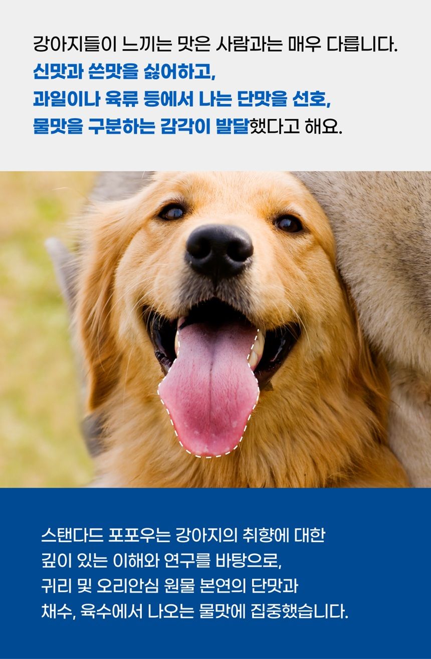 [NEW신상]스탠다드포포우 독 종합영양제 10g*10개입 12번째