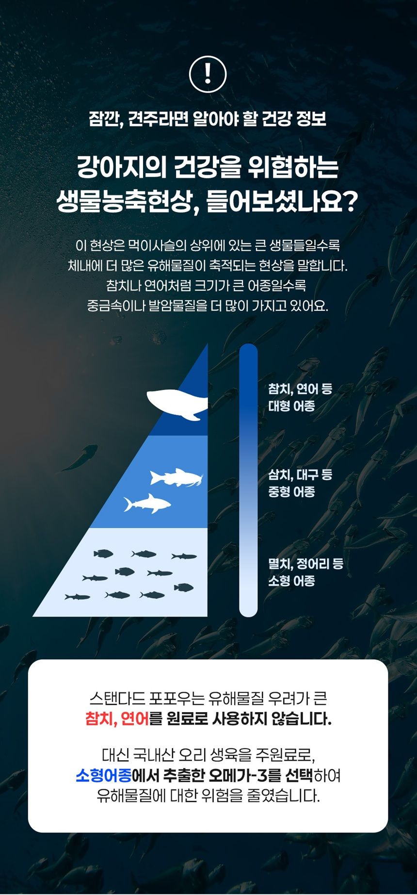 [NEW신상]스탠다드포포우 독 종합영양제 10g*10개입 19번째